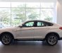 BMW X4 xDriver20i 2017 - Bán BMW X4 xDriver20i đời 2017, màu trắng, nhập khẩu