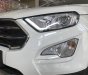 Ford EcoSport 1.0L 2018 - Bán Ecosport 1.5L 2018, đủ màu, kèm nhiều quà tặng hấp dẫn - 0938 055 993 Ms. Tâm