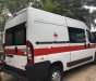 Fiat Ducato 2008 - Cần bán lại xe Fiat Ducato sản xuất năm 2008, màu trắng, xe nhập