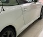 Lexus IS 250c  2010 - Bán ô tô Lexus IS250c năm 2010, màu trắng, nhập khẩu số tự động