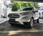 Ford EcoSport Titanium 1.5L Dragon 2017 - Ford EcoSport Titanium 1.5L Dragon 2017, xe đủ màu, hỗ trợ mua xe trả góp có lợi