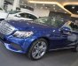 Mercedes-Benz C class C250 Exclusive 2018 - Cần bán Mercedes 250 năm 2018, màu xanh lam