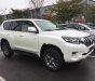 Toyota Prado VX 2.7L 2018 - Bán xe Toyota Prado VX 2.7L 2018, màu trắng, nhập khẩu nguyên chiếc