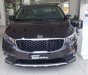 Kia VT250 2.2L DATH 2018 - Bán Kia Sedona 2.2L DATH đời 2018, màu nâu