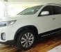 Kia Sorento GAT 2017 - Bán xe Kia Sorento năm 2017, màu trắng, nhập khẩu nguyên chiếc