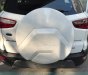 Ford EcoSport Titanium 1.0L Ecoboost 2018 - Ford EcoSport Titanium 1.0L Ecoboost 2018, xe đủ màu, liên hệ đặt xe ngay để nhận thông tin ưu đãi