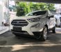 Ford EcoSport Titanium 1.0L Ecoboost 2018 - Ford EcoSport Titanium 1.0L Ecoboost 2018, xe đủ màu, liên hệ đặt xe ngay để nhận thông tin ưu đãi