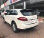 Porsche Cayenne 2011 - Bán ô tô Porsche Cayenne đời 2011, màu trắng, nhập khẩu chính hãng, như mới