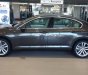 Volkswagen Passat Bluemotion 2017 - (Đạt David) Bán Volkswagen Passat Bluemotion đời 2017, màu nâu, xe mới 100% nhập khẩu chính hãng -LH:0933.365.188