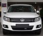 Volkswagen Tiguan 2.0L TSI 4Motion 2017 - (ĐẠT DAVID) Bán Volkswagen Tiguan đời 2017, màu trắng, xe mới 100% nhập khẩu chính hãng - LH: 0933.365.188