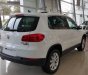 Volkswagen Tiguan 2.0L TSI 4Motion 2017 - (ĐẠT DAVID) Bán Volkswagen Tiguan đời 2017, màu trắng, xe mới 100% nhập khẩu chính hãng - LH: 0933.365.188