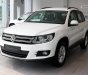 Volkswagen Tiguan 2.0L TSI 4Motion 2017 - (ĐẠT DAVID) Bán Volkswagen Tiguan đời 2017, màu trắng, xe mới 100% nhập khẩu chính hãng - LH: 0933.365.188