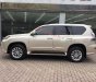 Lexus GX 460 2013 - Bán ô tô Lexus GX 460 năm sản xuất 2013, màu ghi vàng, nhập khẩu nguyên chiếc