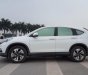 Honda CR V  2.4 AT - TG 2017 - Bán Honda CR V 2.4 AT - TG đời 2017, màu trắng, như mới