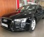 Audi A5 2012 - Bán Audi A5 2012, màu đen, nhập khẩu 