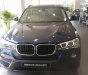 BMW X3 xDrive 20i 2018 - Bán xe BMW X3 xDrive 20i đời 2018, nhập khẩu