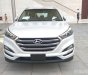 Hyundai Tucson 2018 - Bán xe Hyundai Tucson sản xuất 2018, màu trắng, nhập khẩu chính hãng