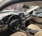Mercedes-Benz GLE-Class GLE400 4Matic Exclusive 2017 - Bán Mercedes GLE400 4 Matic Exclusive 2017 cũ chính hãng, chỉ với 1 tỷ 100 nhận xe