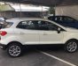 Ford EcoSport 2018 - Bán xe Ford Ecosport mới 2018 số tự động, giá 568 triệu