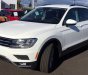 Volkswagen Tiguan Allspace 2018 - Nhận đặt hàng Tiguan Allspace 2018 ngay hôm nay