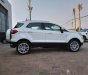 Ford EcoSport 2018 - Cần bán xe Ford EcoSport sản xuất 2018, màu trắng, giá chỉ 648 triệu