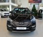 Hyundai Santa Fe 2017 - Bán xe Hyundai Santa Fe sản xuất 2017