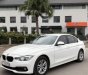 BMW 3 Series  320i  2015 - Cần bán lại xe BMW 3 Series 320i 2015, màu trắng