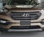 Hyundai Santa Fe   4WD  2018 - Bán xe Hyundai Santa Fe 4WD sản xuất năm 2018, màu nâu