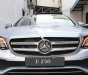 Mercedes-Benz E class E250 2018 - Bán ô tô Mercedes E250 năm sản xuất 2018, màu bạc