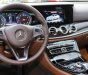 Mercedes-Benz E class E250 2018 - Bán ô tô Mercedes E250 năm sản xuất 2018, màu bạc