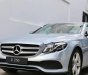 Mercedes-Benz E class E250 2018 - Bán ô tô Mercedes E250 năm sản xuất 2018, màu bạc