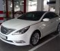 Hyundai Sonata Y20  2.0 AT  2009 - Chính chủ bán Hyundai Sonata Y20 2.0 AT đời 2009, màu trắng