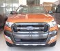 Ford Ranger Wildtrak 3.2L 4x4 AT 2018 - Bán Ford Ranger Wildtrak 3.2L 4x4 AT năm 2018, xe nhập