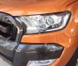 Ford Ranger Wildtrak 3.2L 4x4 AT 2018 - Bán Ford Ranger Wildtrak 3.2L 4x4 AT năm 2018, xe nhập