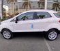 Ford EcoSport Titanium 1.5L AT 2018 - Bán Ford EcoSport Titanium 1.5L AT đời 2018, màu trắng