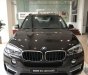 BMW X5 X5 xDrive35i  2017 - 0938906047 SUV gia đình: BMW X5 xDrive35i Sparkling Brown New. Giao xe ngay tháng 03/2018