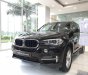 BMW X5 X5 xDrive35i  2017 - 0938906047 SUV gia đình: BMW X5 xDrive35i Sparkling Brown New. Giao xe ngay tháng 03/2018