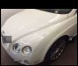 Bentley Continental 2007 - Bán ô tô Bentley Continental 2007, màu trắng, xe nhập