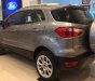Ford EcoSport Titanium 1.5L AT 2018 - Bán xe Ford EcoSport Titanium 1.5L AT 2018, màu xám, giá 648tr