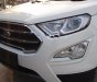 Ford EcoSport 2018 - Bán Ford EcoSport năm sản xuất 2018, màu trắng, giá tốt