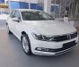 Volkswagen Passat 1.8 Bluemotion 2017 - Bán xe Volkswagen Passat 1.8 Bluemotion đời 2017, màu trắng, nhập khẩu nguyên chiếc