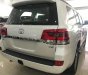 Toyota Land Cruiser VX 4.6 V8 2018 - Bán xe Toyota Land Cruiser VX 4.6 đời 2018, màu trắng, nhập khẩu