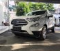 Ford EcoSport Titanium 1.5L AT 2018 - Bán Ford EcoSport Titanium 1.5L AT đời 2018, màu trắng