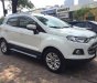 Ford EcoSport Titanium 1.5L AT 2016 - Bán Ford EcoSport Titanium 1.5L AT năm sản xuất 2016, màu trắng chính chủ, giá tốt