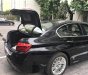 BMW 5 Series 520i 2014 - Bán BMW 5 Series 520i đời 2014, màu đen, nhập khẩu nguyên chiếc