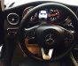 Mercedes-Benz C class C250 2016 - Cần bán xe Mercedes C250 năm 2016, màu đen đẹp như mới