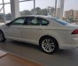 Volkswagen Passat 1.8 Bluemotion 2017 - Bán xe Volkswagen Passat 1.8 Bluemotion đời 2017, màu trắng, nhập khẩu nguyên chiếc