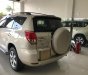 Toyota RAV4 2.4 AT 2008 - Bán Toyota RAV4 2.4 AT năm sản xuất 2008, màu vàng, xe nhập