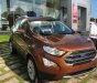 Ford EcoSport Titanium 1.5L AT 2018 - Bán Ford EcoSport Titanium 1.5L AT sản xuất 2018, màu nâu
