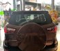 Ford EcoSport Titanium 1.0 EcoBoost 2018 - Bán xe Ford EcoSport Titanium 1.0 EcoBoost năm 2018, màu nâu 